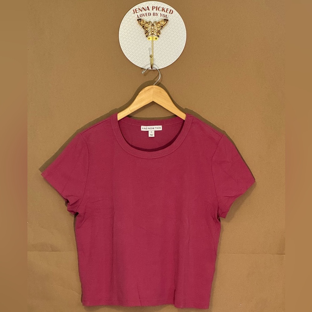 Well-Kept And Now This X-LARGE Women's Short Sleeve Berry Cropped Fitted Tee